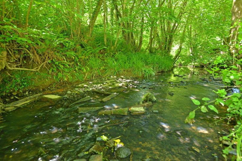 Osbornes Holiday House Near Exeter With Swimming Pool エクステリア 写真